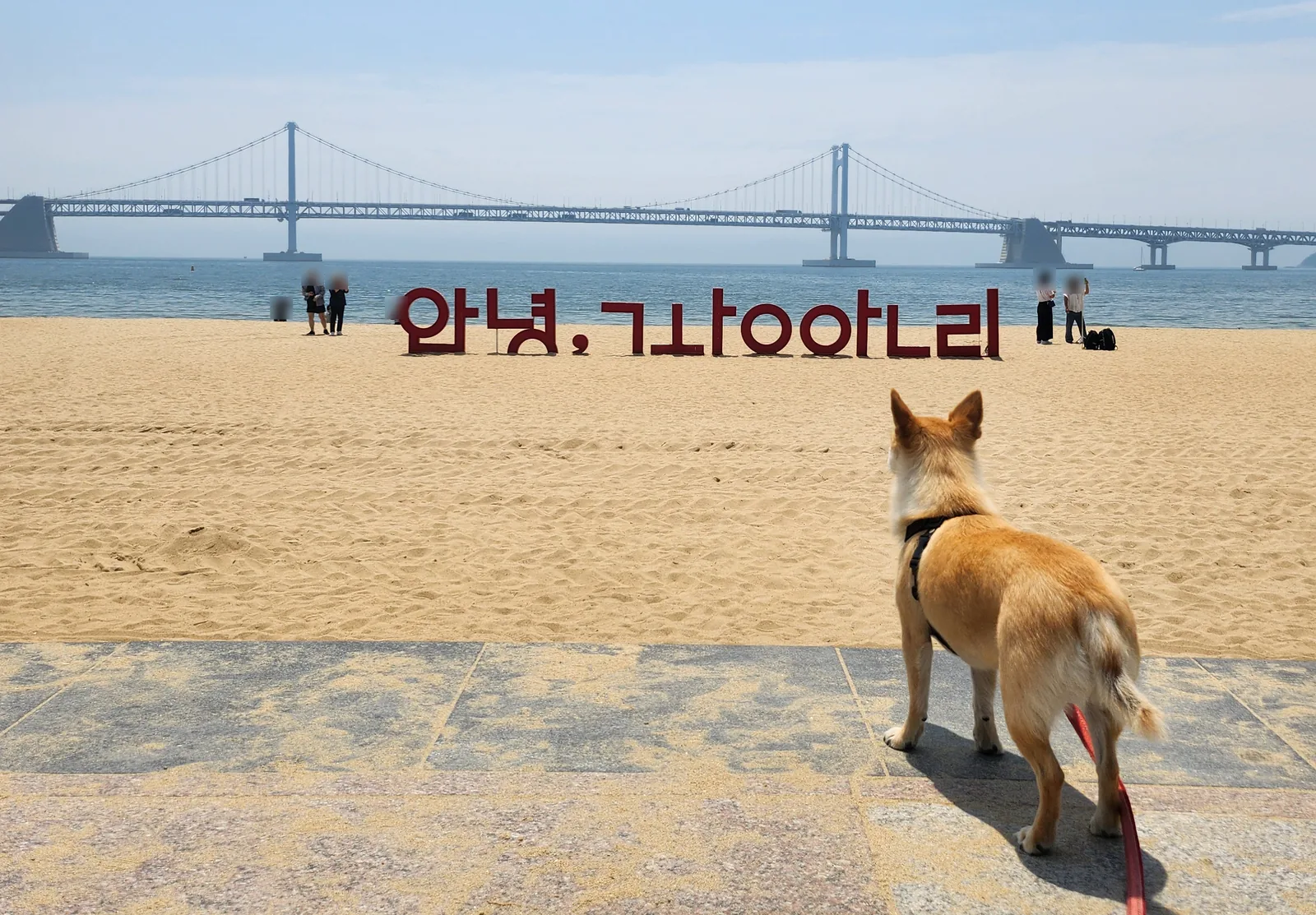 Red Hangul letter sign on Gwangalli Beach seen from behind, Gwangan Bridge beyond, a tan dog on the promenade in the foreground